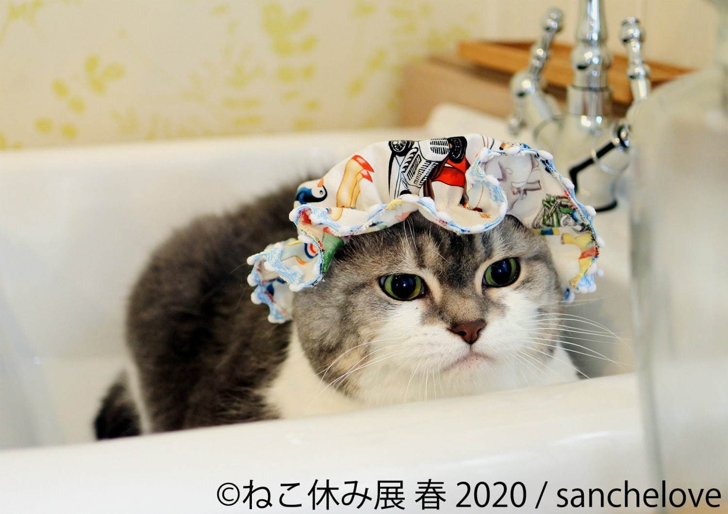 「ねこ休み展 春 2020」名古屋で、春＆イースターの新作写真展示や会場限定猫グッズなど｜写真10