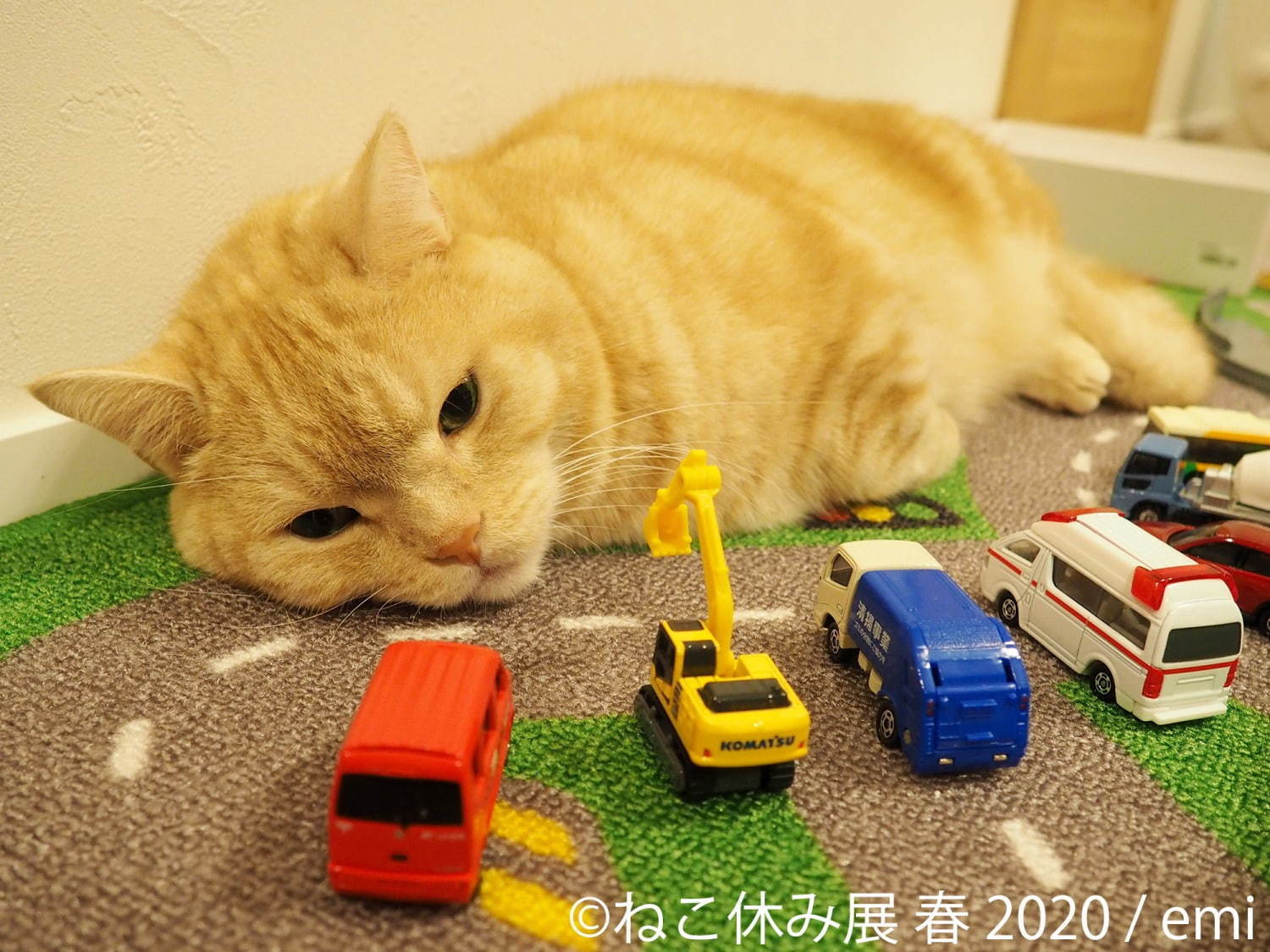 「ねこ休み展 春 2020」名古屋で、春＆イースターの新作写真展示や会場限定猫グッズなど｜写真1