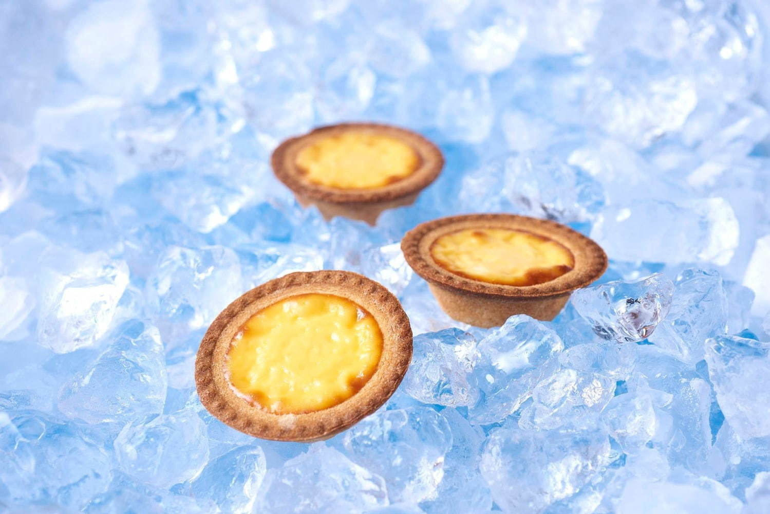 ベイク チーズタルト(BAKE CHEESE TART) ベイク チーズタルト｜写真18