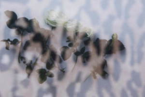 ブルマリン(Blumarine) 2020-21年秋冬ウィメンズコレクション  - 写真2