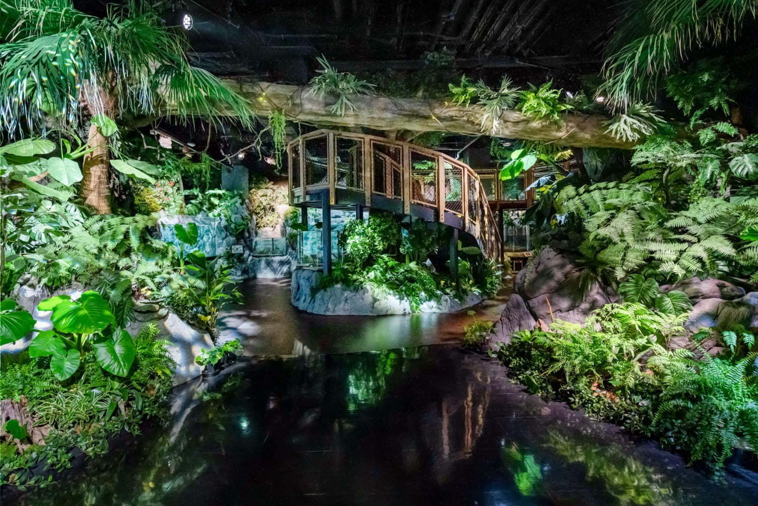 イーアス沖縄豊崎「DMMかりゆし水族館」