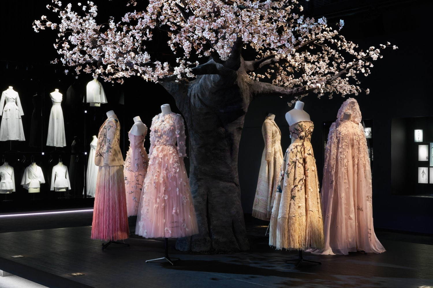 ディオール(DIOR) ディオール、パリから日本へ｜写真27