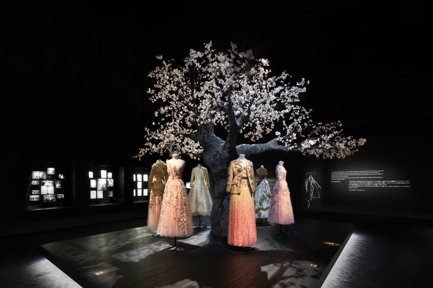 ディオール(DIOR) ディオール、パリから日本へ｜写真28