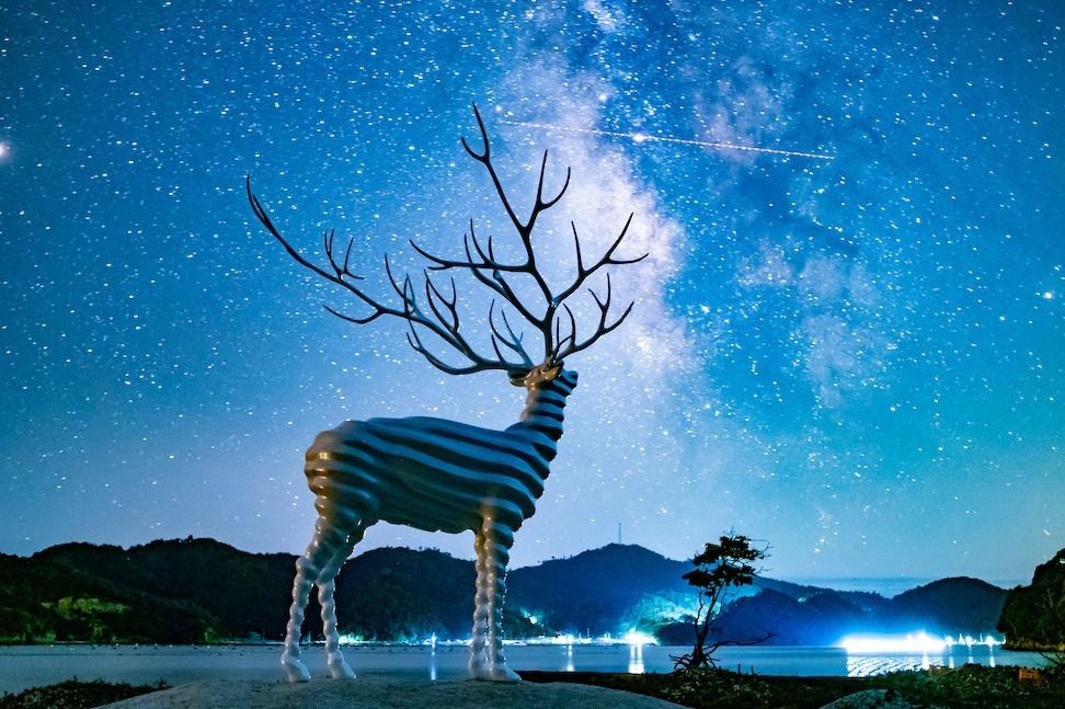 明治神宮「神宮の杜芸術祝祭」