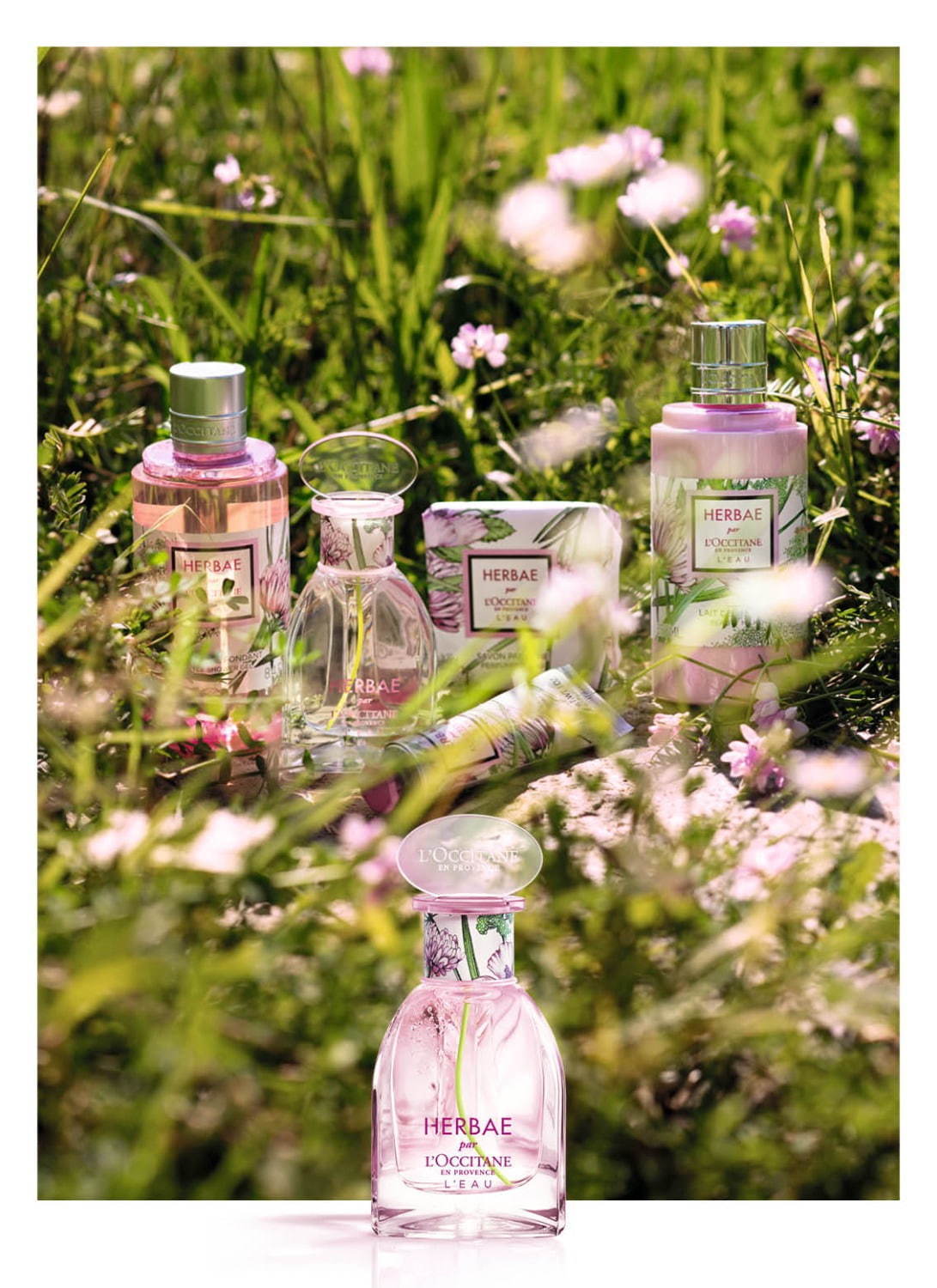 ロクシタン(L'OCCITANE) エルバブランシュ｜写真1