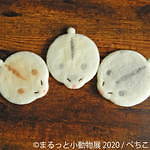 写真展＆物販展「まるっと小動物展」名古屋・東京で - フェレット＆デグーが新登場、過去最大規模に｜写真25