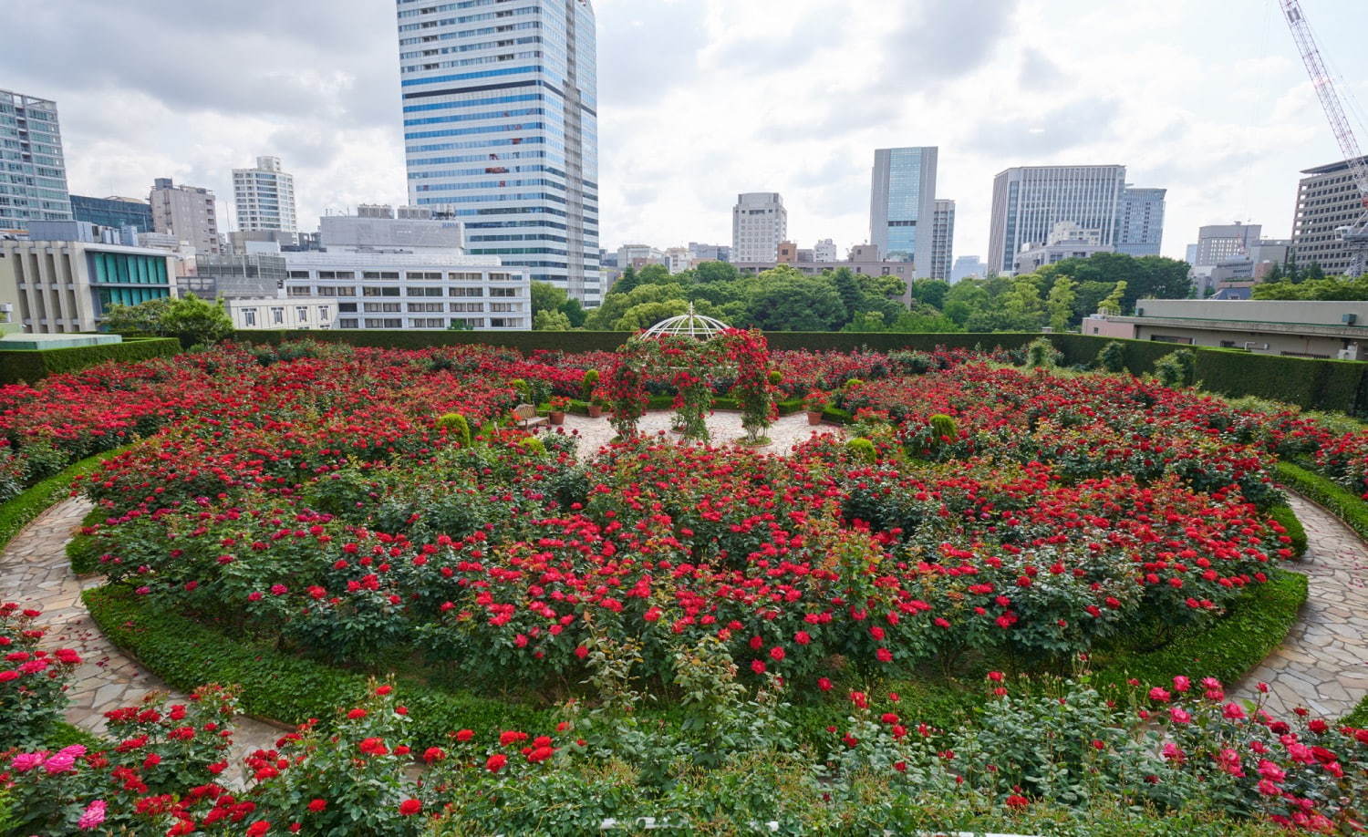 写真5 7 ホテルニューオータニ 東京 3万輪の バラ 咲く屋上庭園 ピエール エルメ パリのスイーツプレートも ファッションプレス 写真5 7 ホテルニューオータニ 東京 3万輪の バラ 咲く屋上庭園 ピエール エルメ パリのスイーツプレートも ファッションプレス