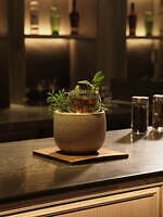 「ジャヌ東京」麻布台ヒルズに2024年3月開業、アマンの姉妹ブランド「ジャヌ」世界初のホテル｜写真19