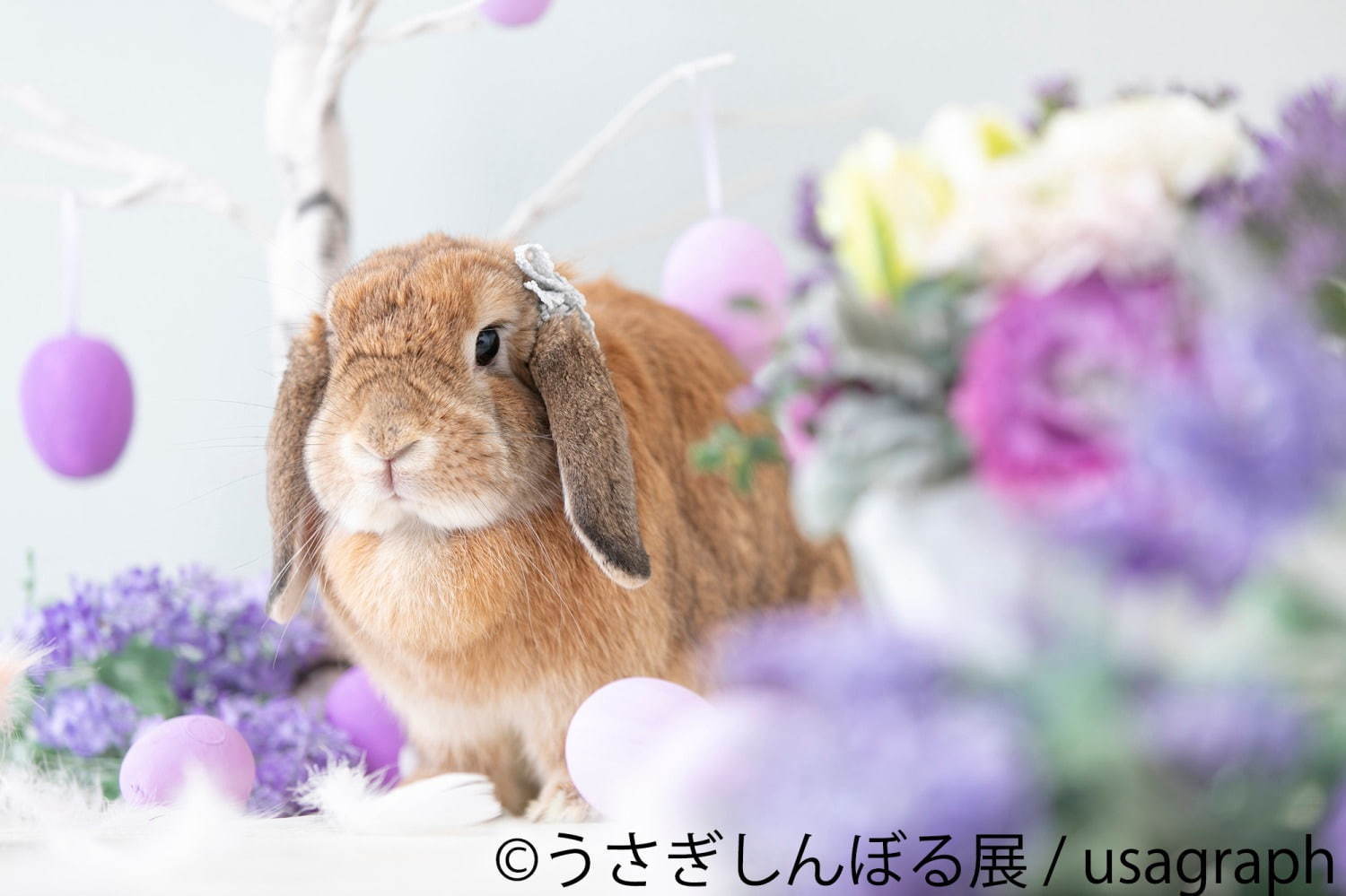 うさぎの合同写真展「うさぎしんぼる展」広島・静岡で、ミニチュア作品などグッズ販売も｜写真7