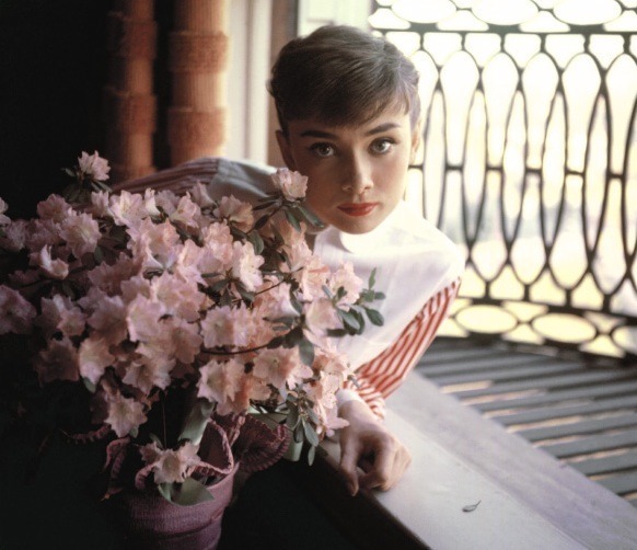 ハリウッド近くのホテルにて 1953
© Bob Willoughby/ mptvimages.com