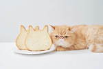 ねこねこ(NEKO NEKO) ねこねこ食パン｜写真1