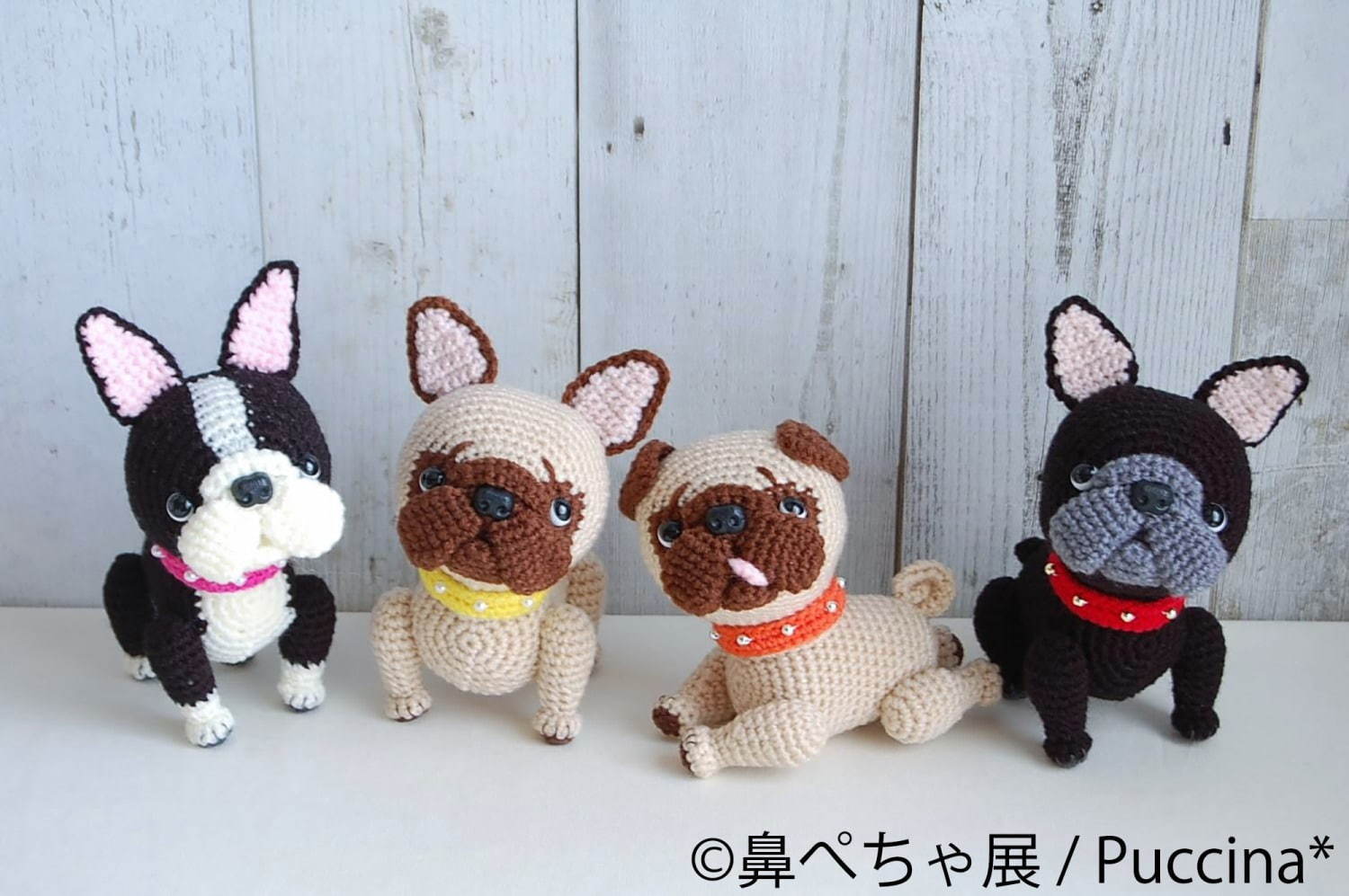 「鼻ぺちゃ展」静岡パルコで、ブルドッグやパグなど“鼻ぺちゃ犬”の写真＆グッズが集結｜写真16