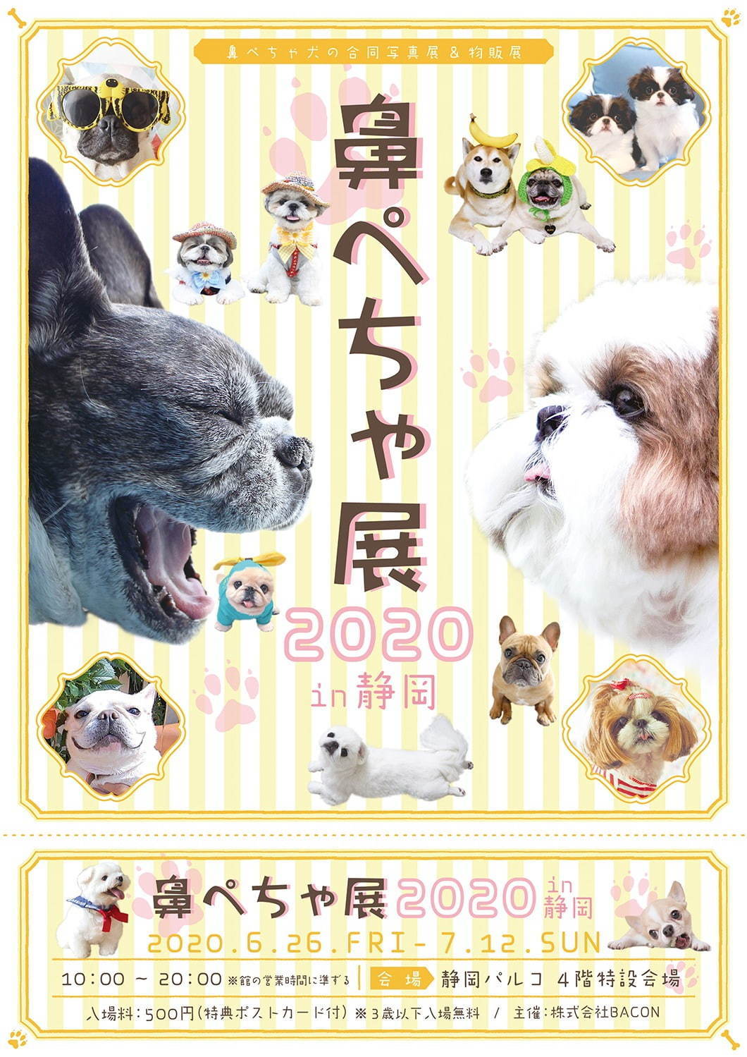 「鼻ぺちゃ展」静岡パルコで、ブルドッグやパグなど“鼻ぺちゃ犬”の写真＆グッズが集結｜写真25