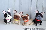 「鼻ぺちゃ展」静岡パルコで、ブルドッグやパグなど“鼻ぺちゃ犬”の写真＆グッズが集結｜写真16