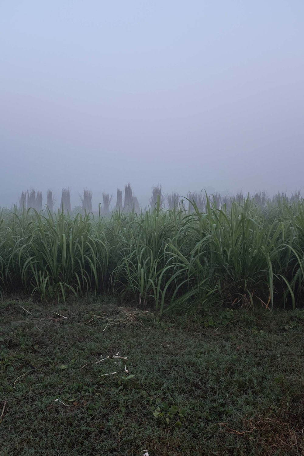 ヤントル(YANTOR) 2020年春夏メンズコレクション  - 写真1