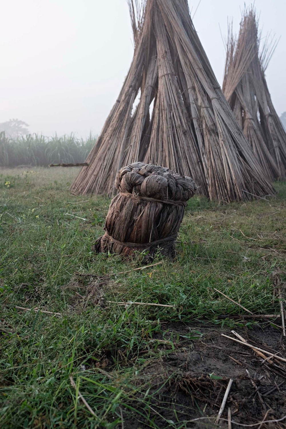 ヤントル(YANTOR) 2020年春夏メンズコレクション  - 写真3