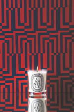 ディプティック(Diptyque) フレグランスキャンドル｜写真10