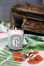 ディプティック(Diptyque) フレグランスキャンドル｜写真3