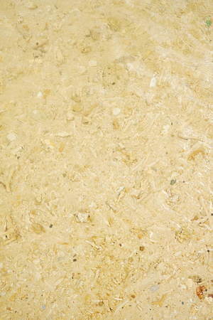 キャプテン サンシャイン(KAPTAIN SUNSHINE) 2020年春夏メンズコレクション  - 写真2