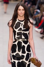 バーバリープローサム(Burberry Prorsum) トレンチキス｜写真84