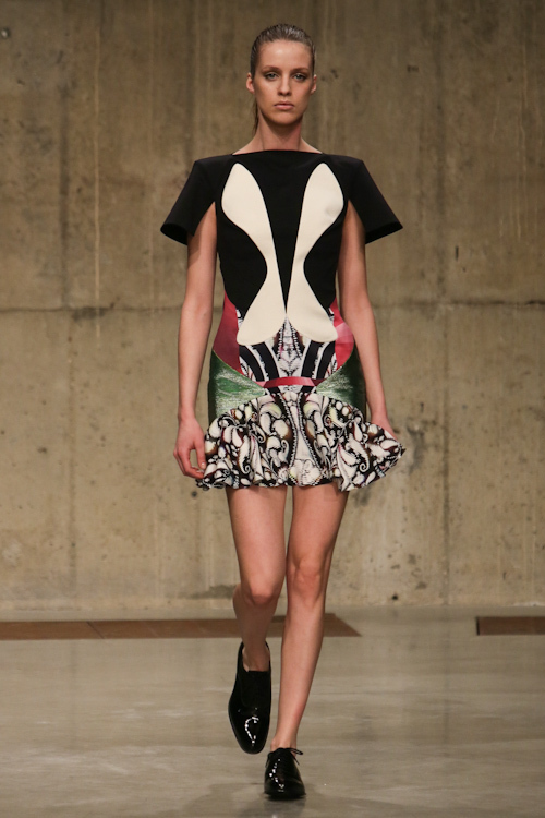 ピーター ピロット(PETER PILOTTO) 2013-14年秋冬ウィメンズコレクション  - 写真28