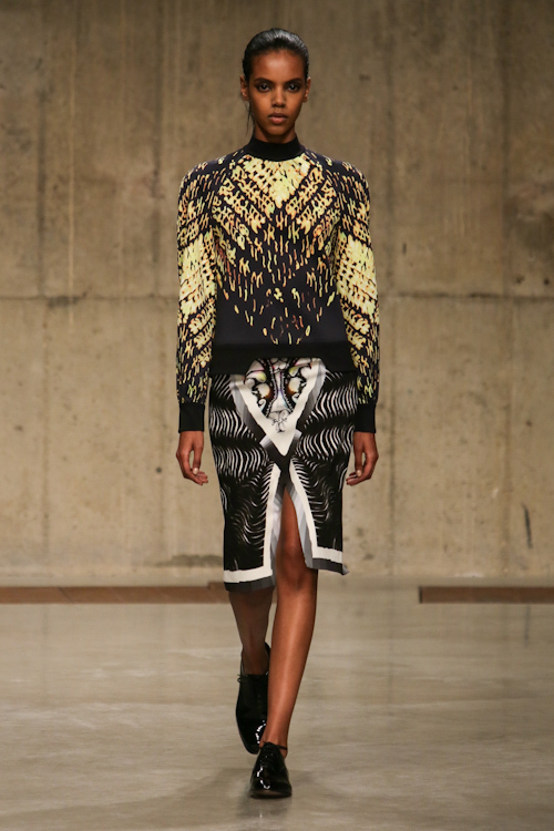 ピーター ピロット(PETER PILOTTO) 2013-14年秋冬ウィメンズコレクション  - 写真38