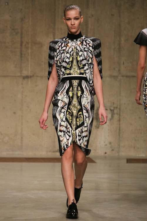ピーター ピロット(PETER PILOTTO) 2013-14年秋冬ウィメンズコレクション  - 写真43