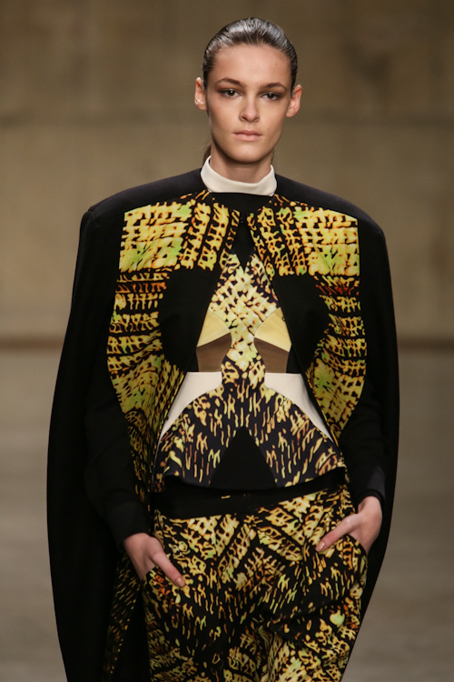 ピーター ピロット(PETER PILOTTO) 2013-14年秋冬ウィメンズコレクション  - 写真45