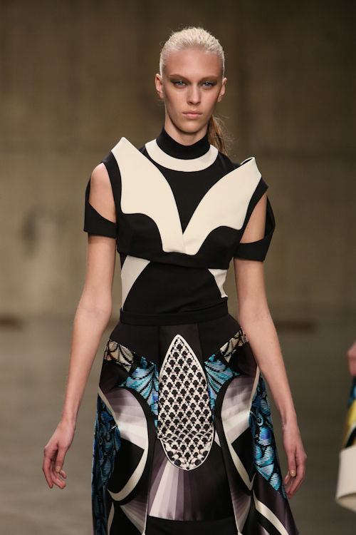 ピーター ピロット(PETER PILOTTO) 2013-14年秋冬ウィメンズコレクション  - 写真58