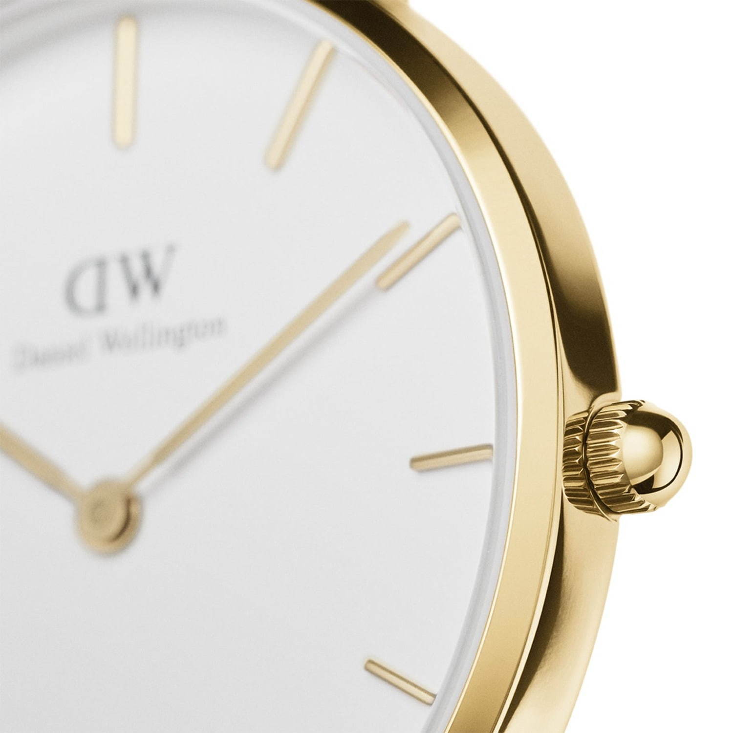 ダニエル・ウェリントン(Daniel Wellington) ペティット｜写真4