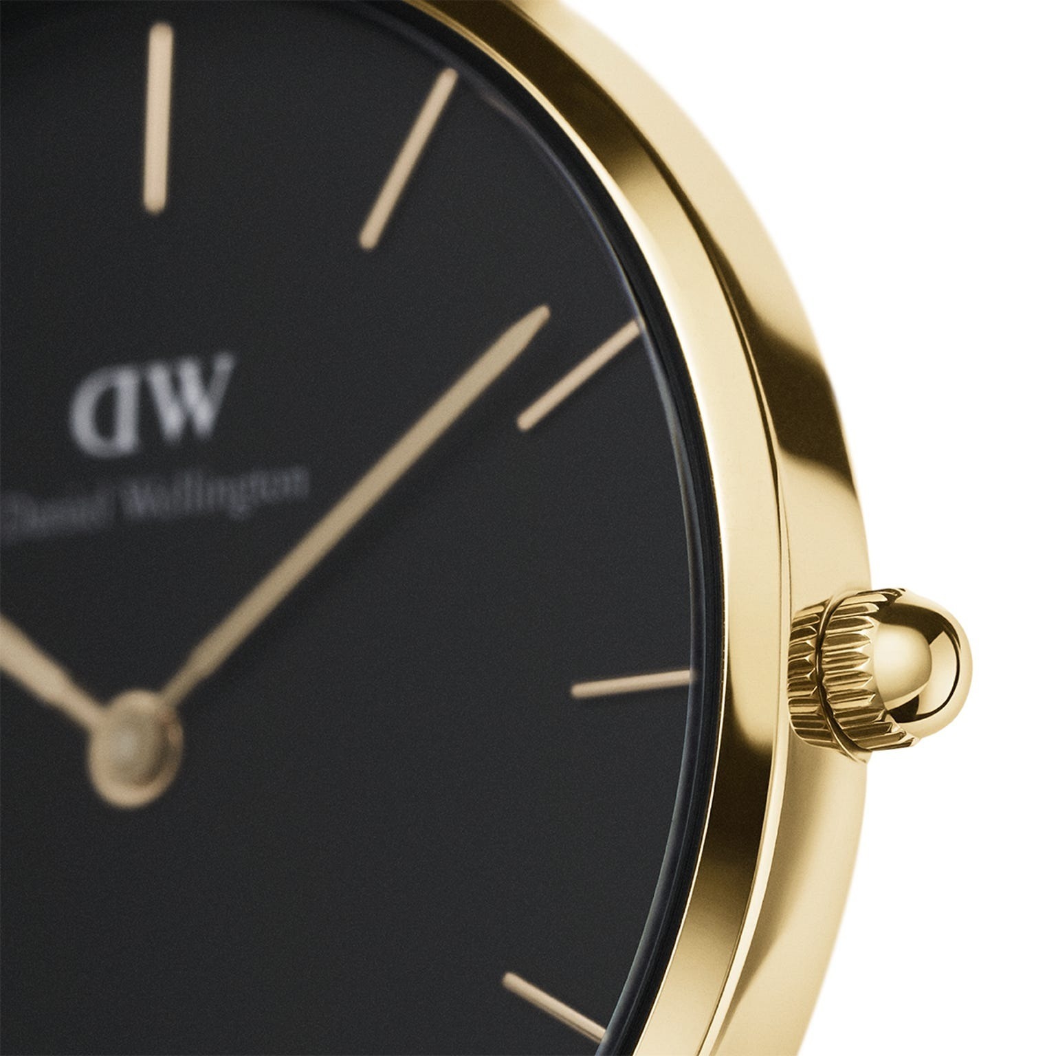 ダニエル・ウェリントン(Daniel Wellington) ペティット｜写真8