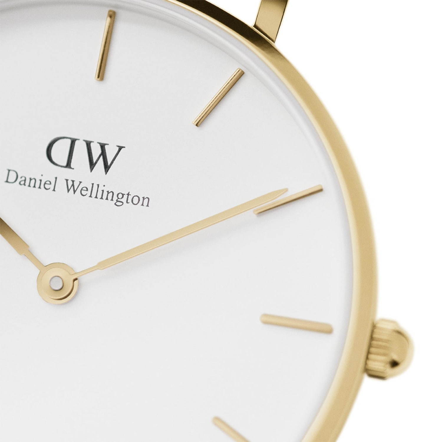 ダニエル・ウェリントン(Daniel Wellington) ペティット｜写真3