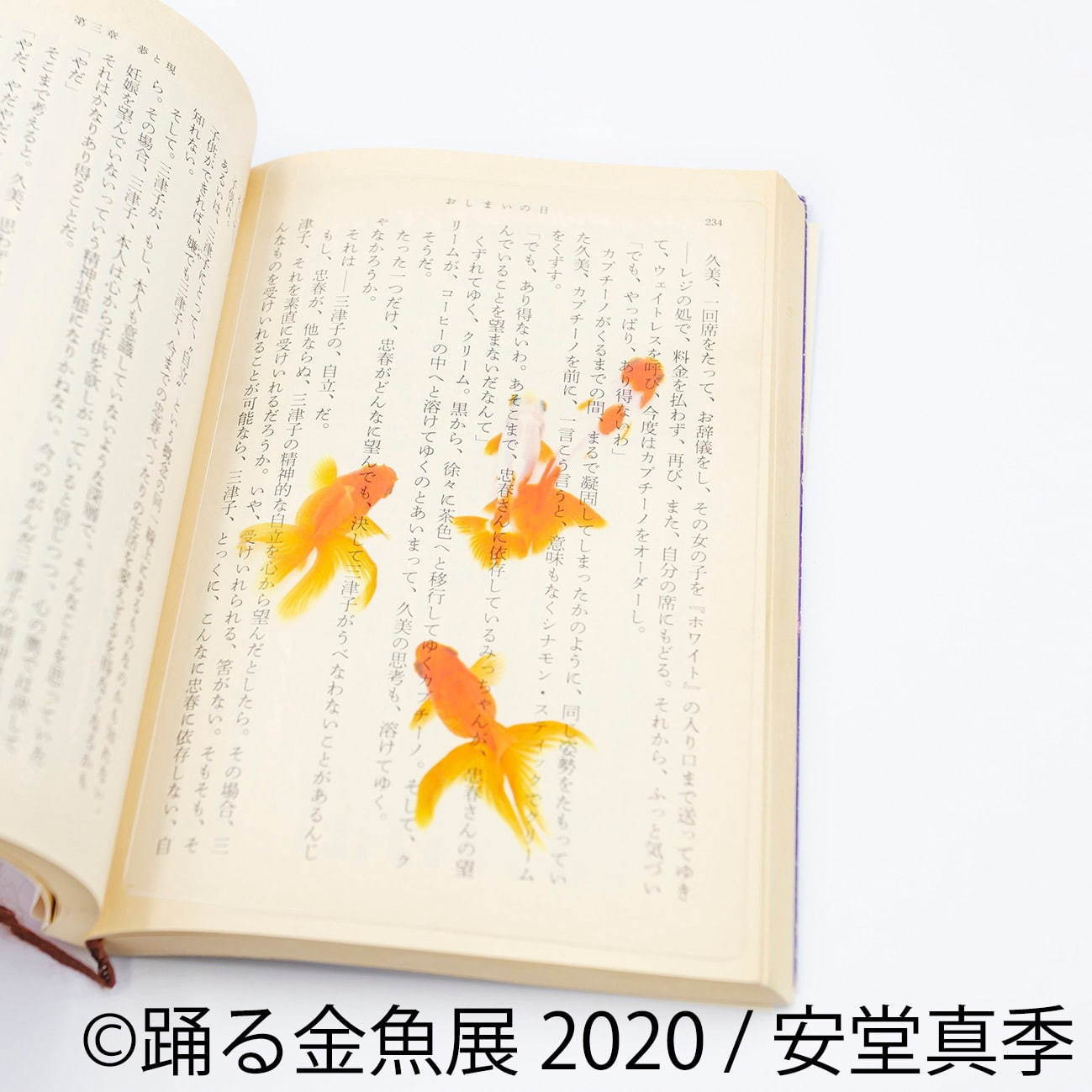 「踊る金魚展 2020」東京＆名古屋で、金魚が泳ぐ“一瞬の美しさ”を捉えた写真やグッズを展示販売｜写真12