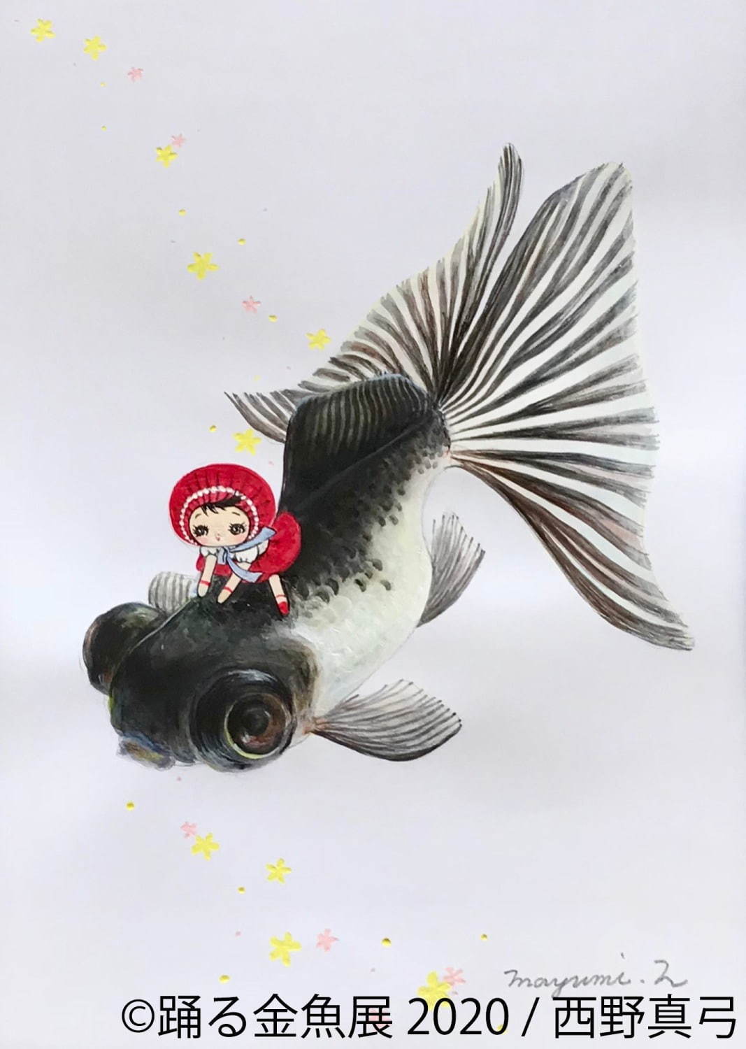 踊る金魚展 東京 名古屋で 金魚が泳ぐ 一瞬の美しさ を捉えた写真やグッズを展示販売 ファッションプレス