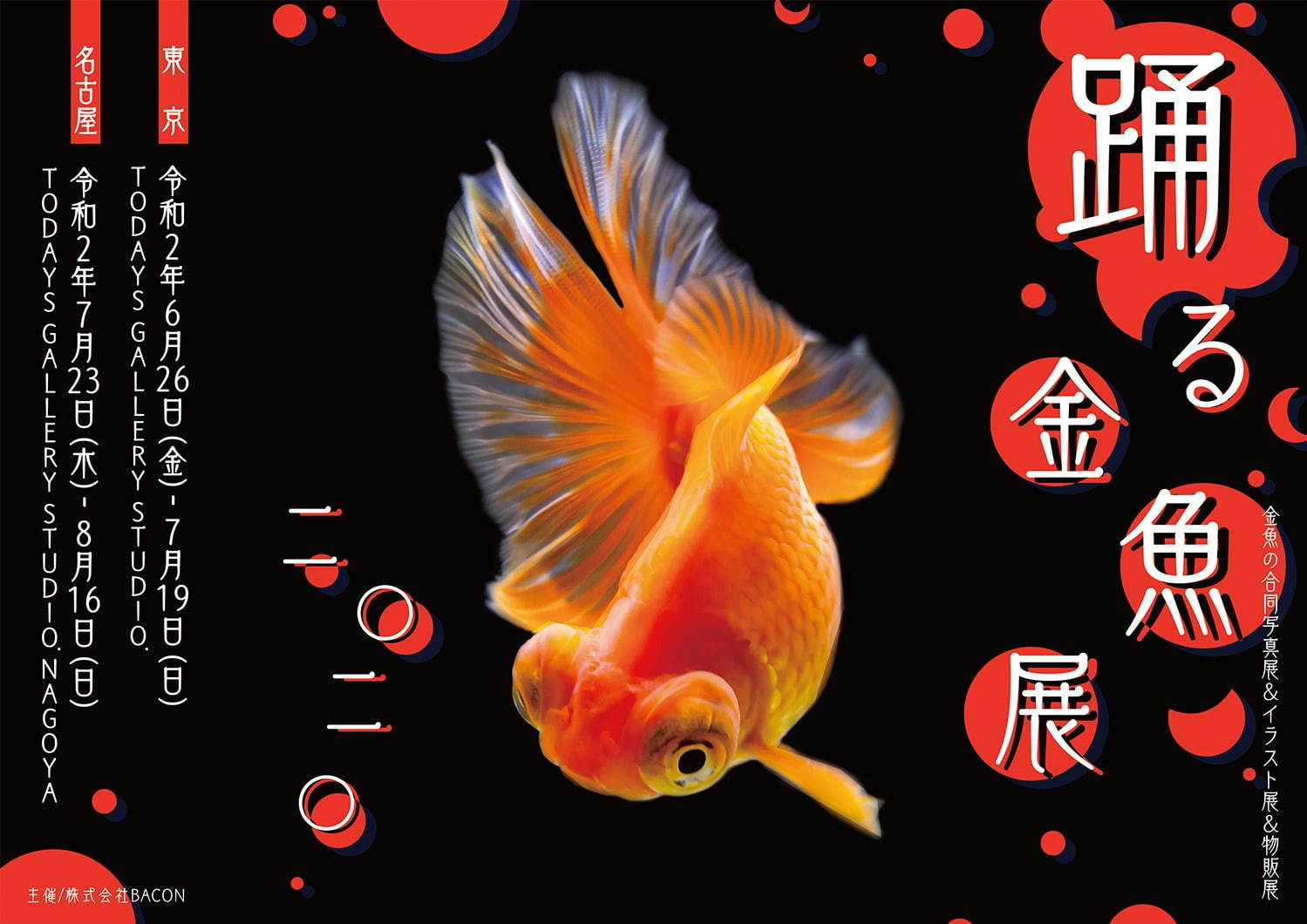 「踊る金魚展 2020」東京＆名古屋で、金魚が泳ぐ“一瞬の美しさ”を捉えた写真やグッズを展示販売｜写真27