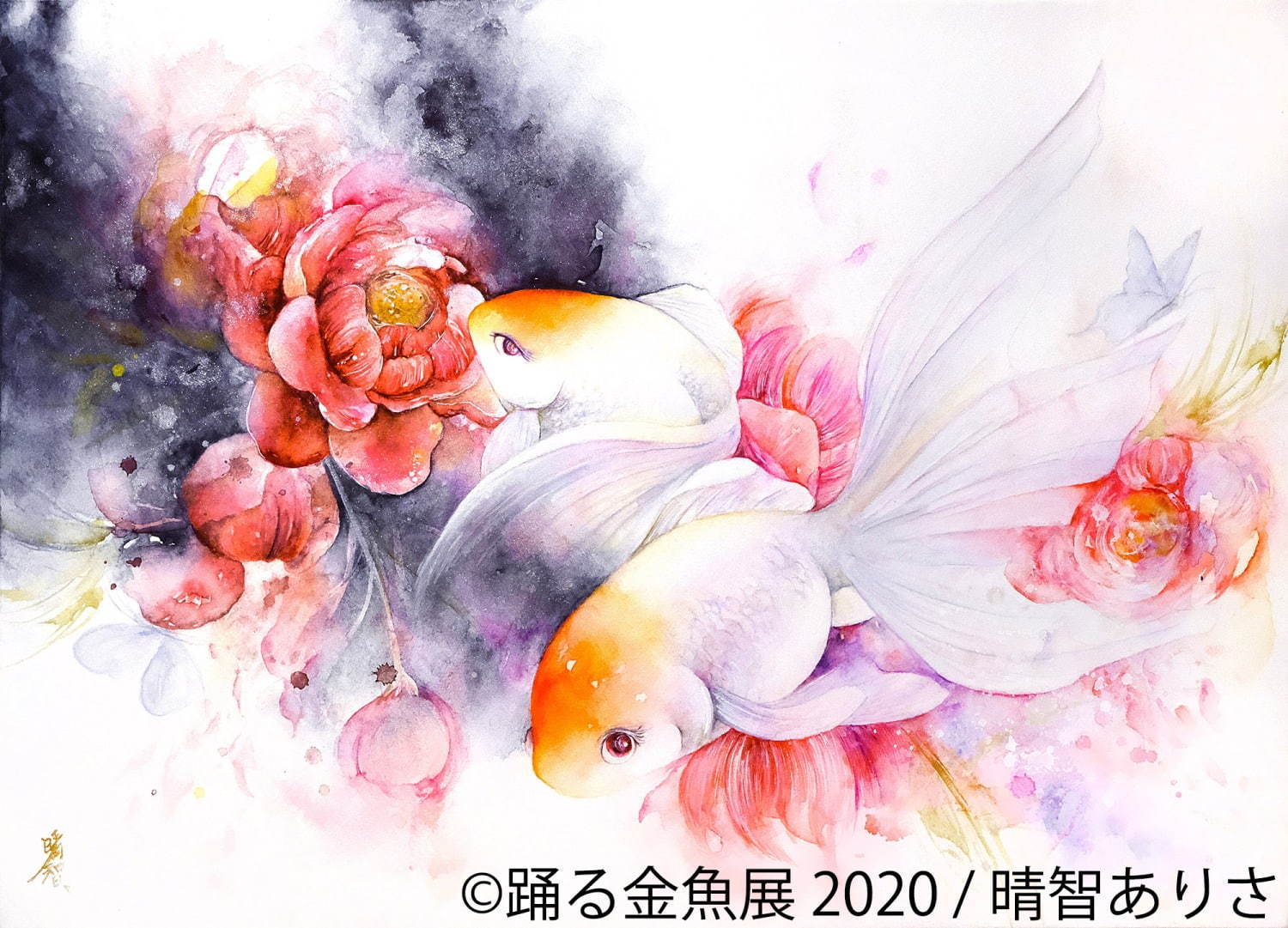 「踊る金魚展 2020」東京＆名古屋で、金魚が泳ぐ“一瞬の美しさ”を捉えた写真やグッズを展示販売｜写真11