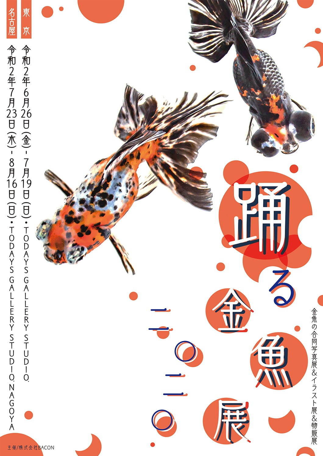 写真28 28 踊る金魚展 東京 名古屋で 金魚が泳ぐ 一瞬の美しさ を捉えた写真やグッズを展示販売 ファッションプレス