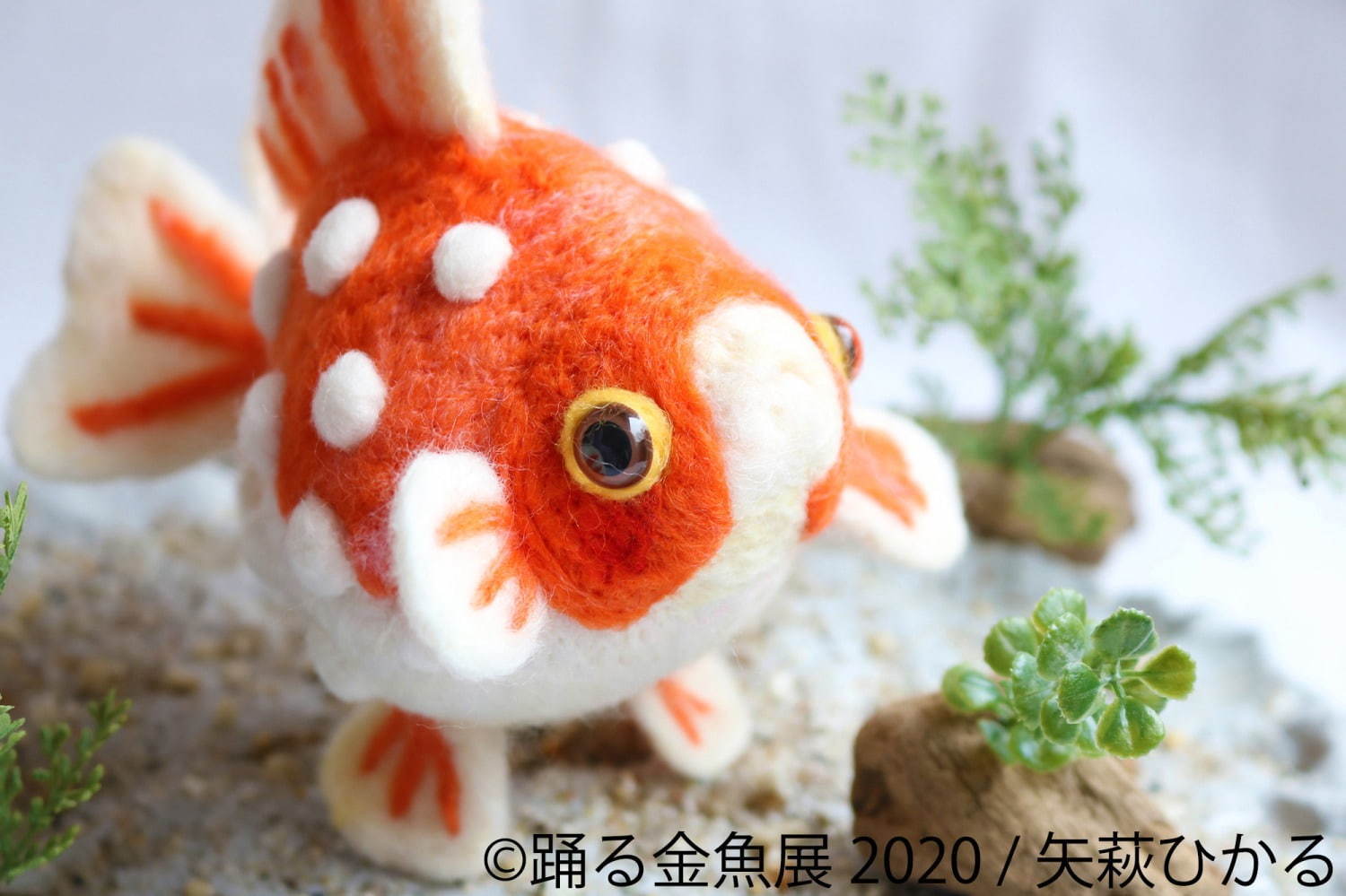 「踊る金魚展 2020」東京＆名古屋で、金魚が泳ぐ“一瞬の美しさ”を捉えた写真やグッズを展示販売｜写真2