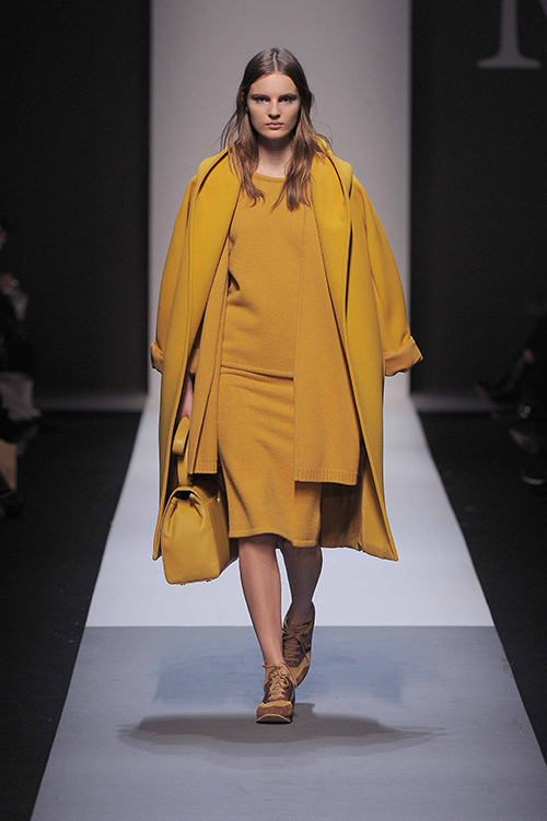 マックスマーラ(Max Mara) 2013-14年秋冬ウィメンズコレクション  - 写真17