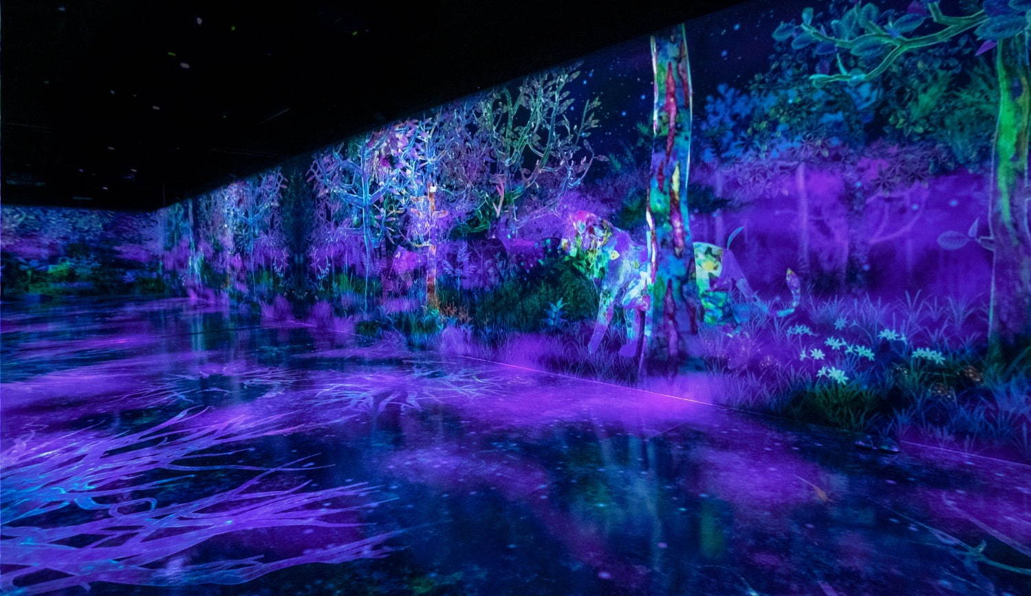 ߂܂ďW߂X / Catching and Collecting Forest teamLab, 2020, Interactive Digital installation, Endless, Sound: Hideaki Takahashi