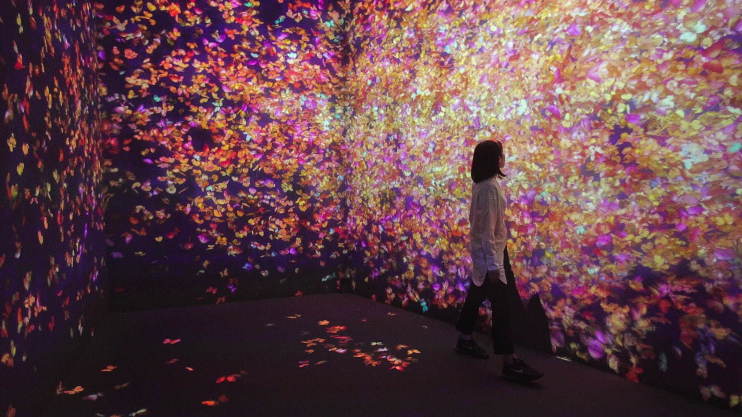 QA R / Flutter of Butterflies, Ephemeral Life teamLab, 2020, Interactive Digital Installation, Endless, Sound: Hideaki Takahashi