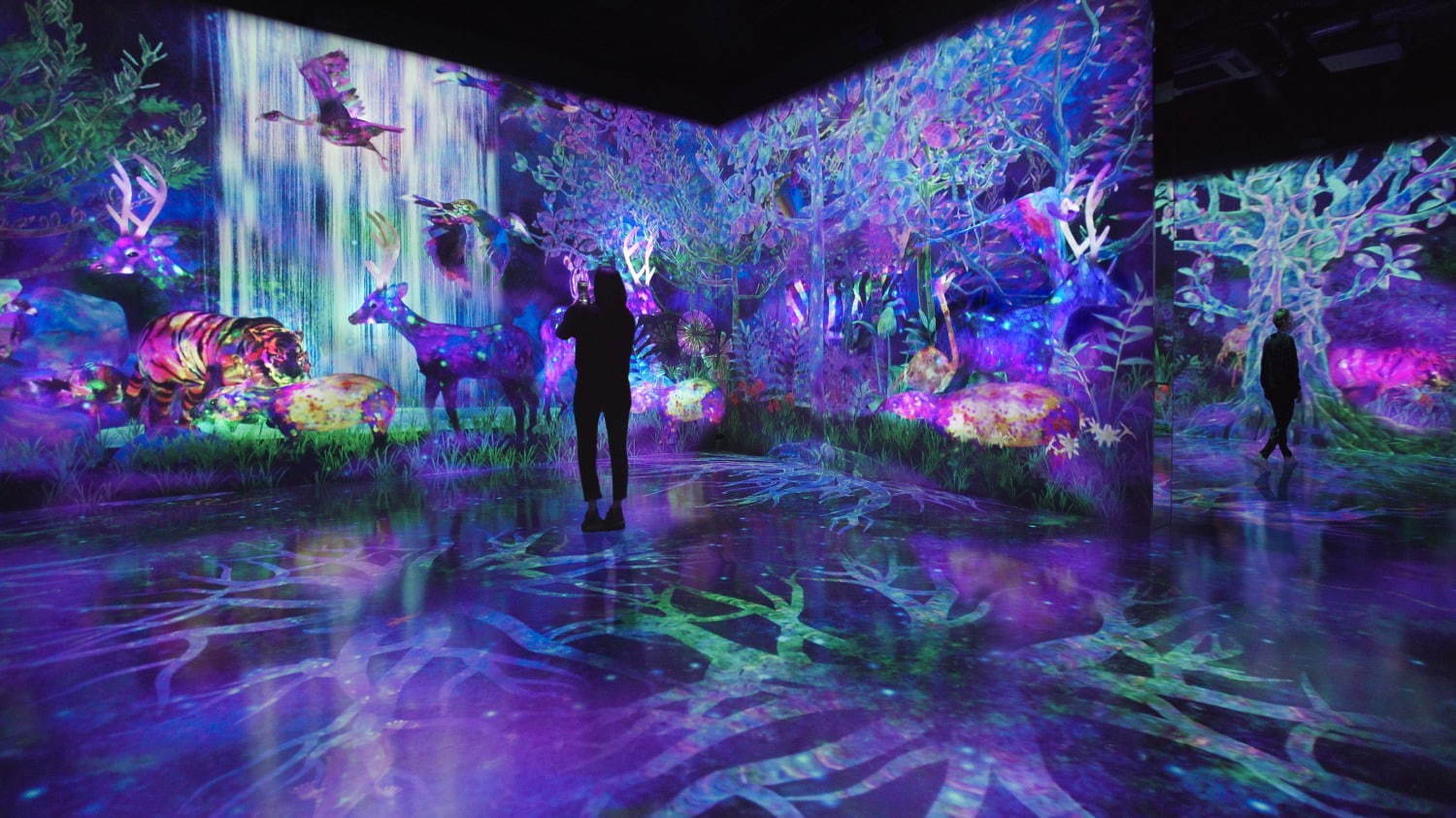 ߂܂ďW߂X / Catching and Collecting Forest teamLab, 2020, Interactive Digital installation, Endless, Sound: Hideaki Takahashi