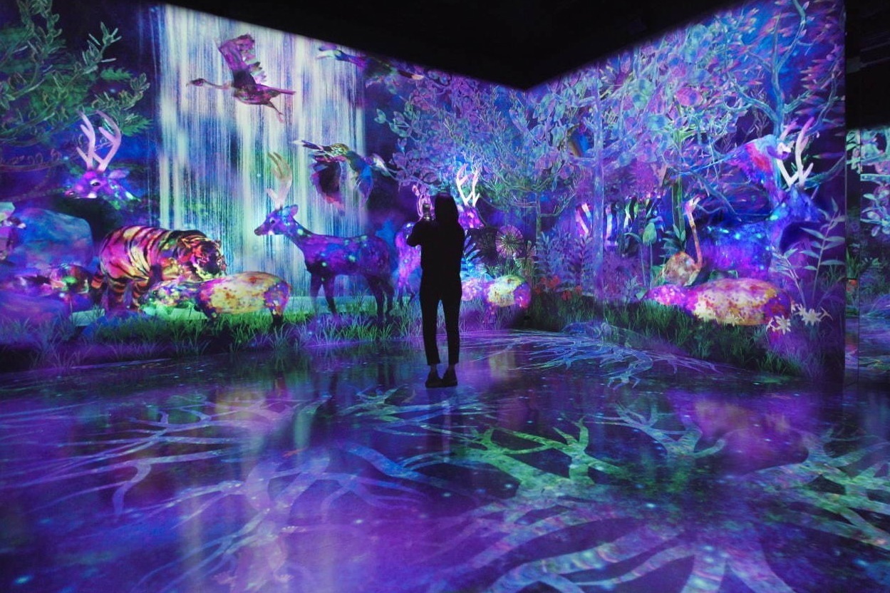 「チームラボフォレスト」福岡PayPayドーム隣接のボス イーゾ フクオカ内に常設ミュージアム誕生