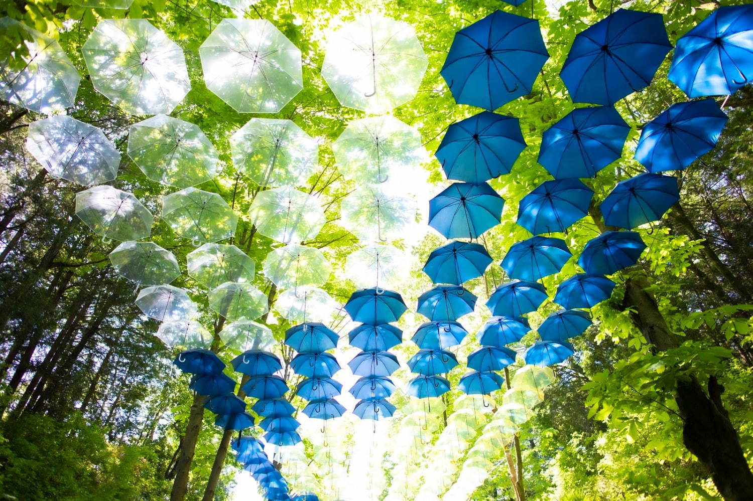 ムーミンバレーパーク＆メッツァビレッジ、約2,000本のカラフルな傘の世界広がる限定イベント｜写真5