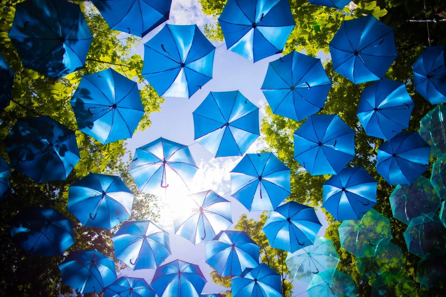 ムーミンバレーパーク＆メッツァビレッジ、約2,000本のカラフルな傘の世界広がる限定イベント｜写真4