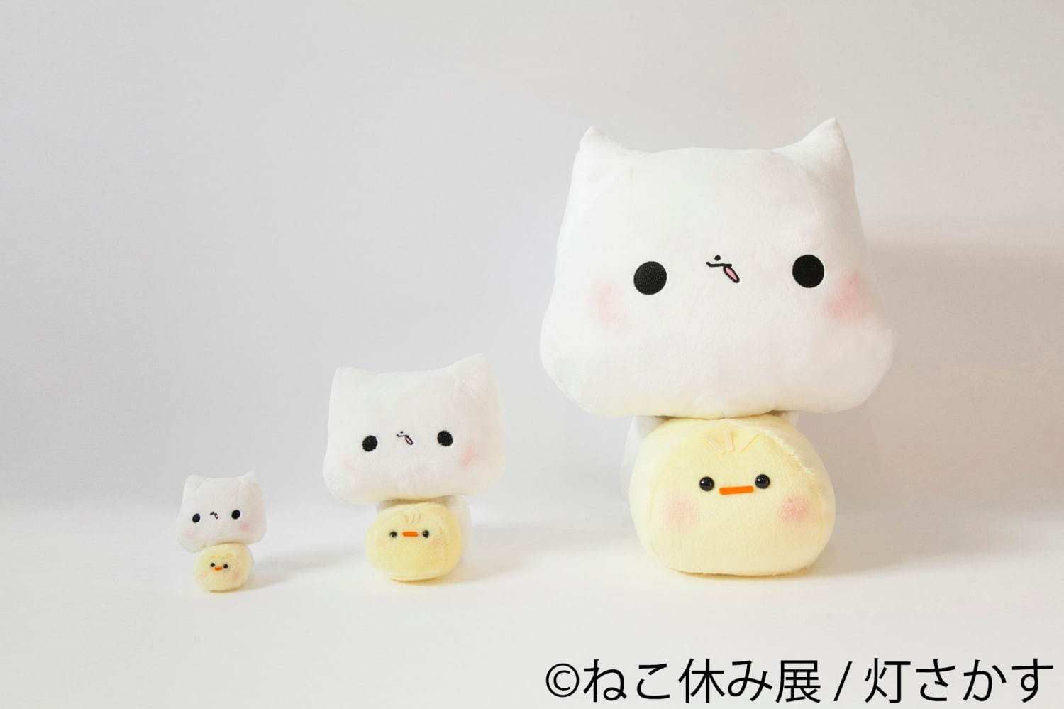 猫の合同写真＆物販展「ねこ休み展」4年ぶりに福岡で、人気作から最新作まで集結＆限定グッズも｜写真36