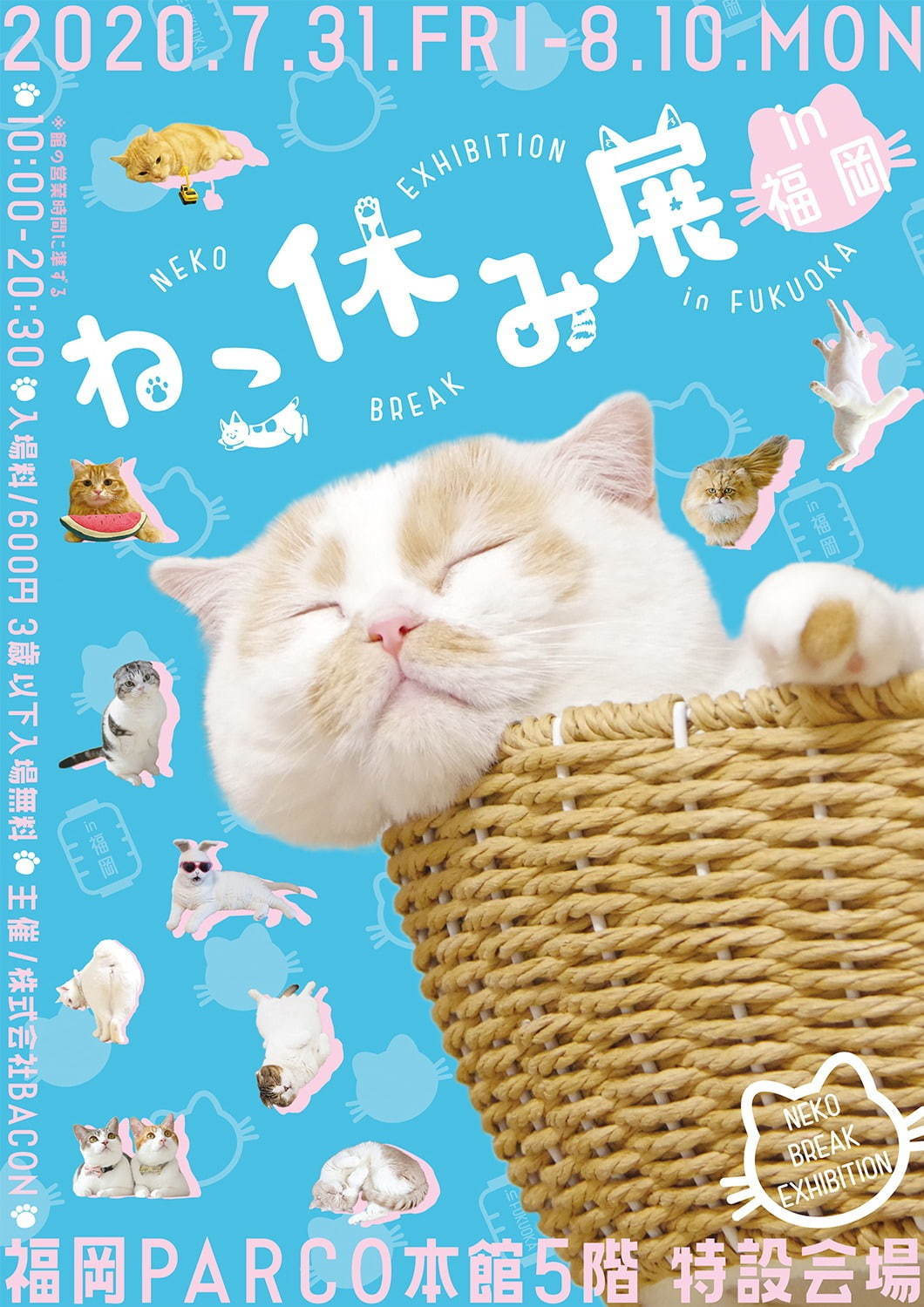 猫の合同写真＆物販展「ねこ休み展」4年ぶりに福岡で、人気作から最新作まで集結＆限定グッズも｜写真10