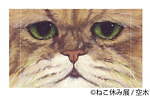 猫の合同写真＆物販展「ねこ休み展」4年ぶりに福岡で、人気作から最新作まで集結＆限定グッズも｜写真34
