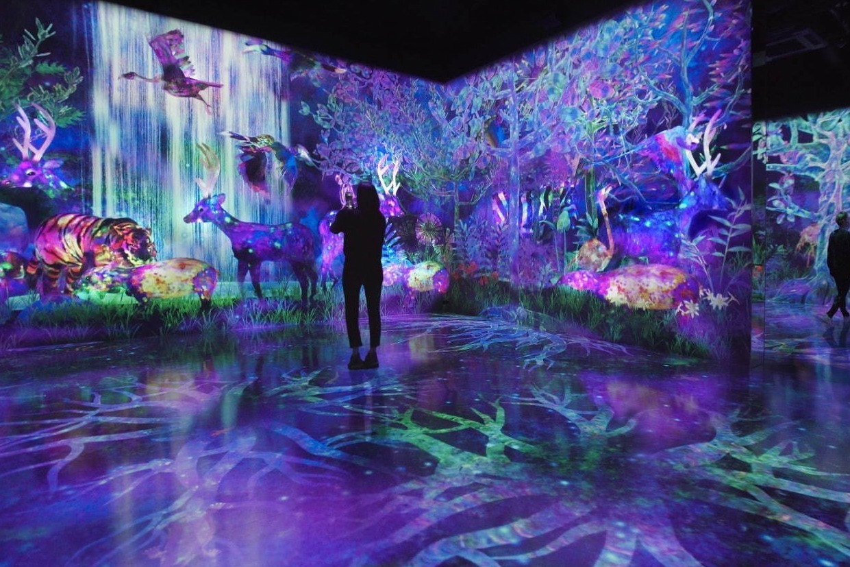 チームラボフォレスト (teamLab Forest) - 福岡城・西公園 