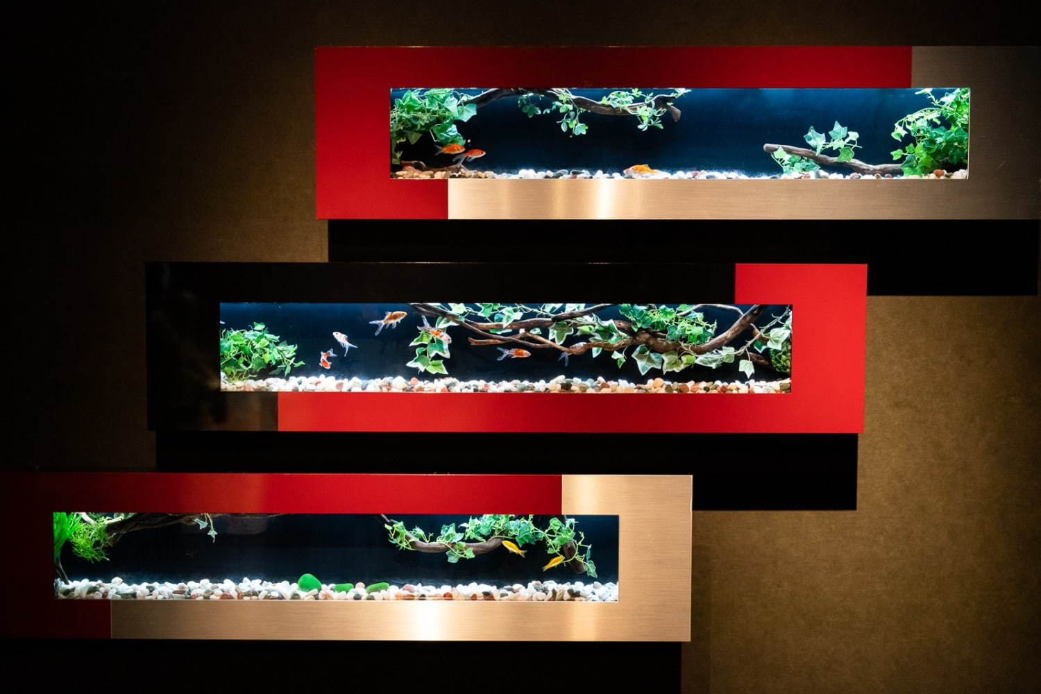 「アートアクアリウム美術館」東京・日本橋に誕生、過去最大30,000匹超の金魚が泳ぐアート空間｜写真1